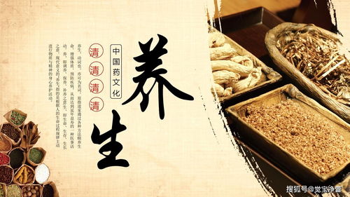 中医的实证与虚症是什么