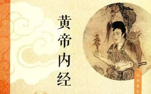 中医宝典 黄帝内经 概述