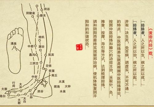 中医如何解释马尾神经损伤患者出现下肢麻木的情况