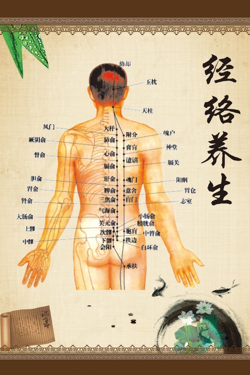 针灸穴位图穴位挂图经络 国家标准经穴部位图标准人体经络全图