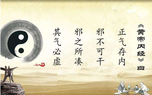 免疫,免疫力一与中医正气 中气,冲气,元气,心气
