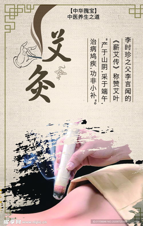 中医艾灸设计图