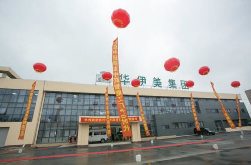 华伊美破产清算 3项专利1元起拍卖