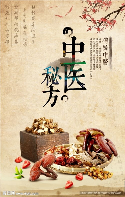 中医秘方图片