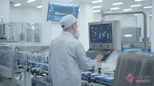 全球首座中医药健康品领域灯塔工厂落户云南，开启传统医学现代化新篇章