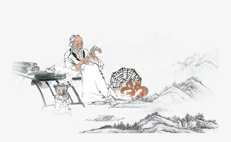 中国传统医术 中医的智慧与传承