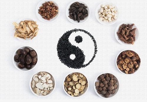 书说中医 第六期 本草药性——中医理论指导下的中药应用