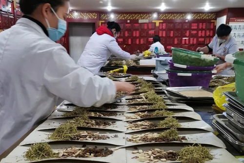 疫情下,中医馆如何靠 产品化 破局