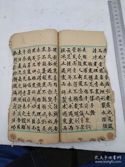 老中医手抄本,中医阴阳理论