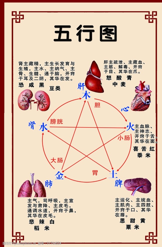 中医五行图