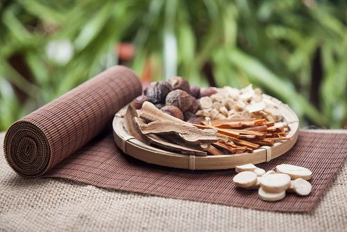 瓷律品牌上市发布会 中医智慧点亮药妆新篇章