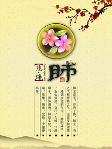 中医养肺养生 从传统智慧到健康生活