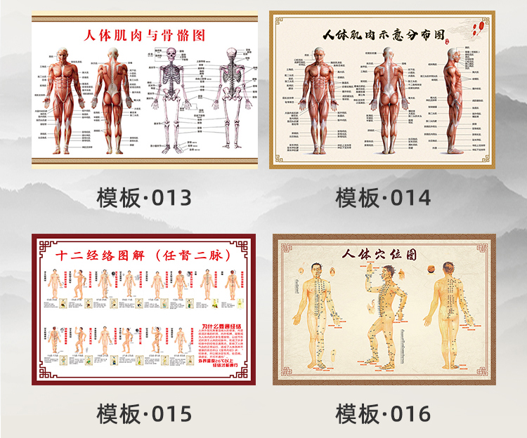 中医养生新选择 高清人体经络穴位挂图，居家健康好帮手