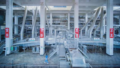 草本智慧与科技交融 劲牌工厂里的现代中医药酒之旅