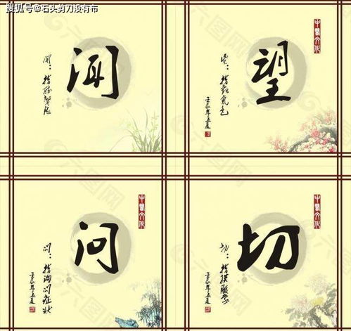 中医 一门天人合一的传统医学体系