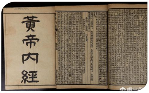 弘扬中医文化，传承中医精髓 从理论到实践的智慧之旅